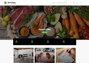 WEB-SPORTZONE