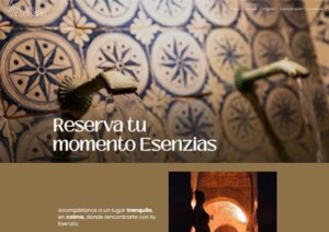 WEB-esenzias